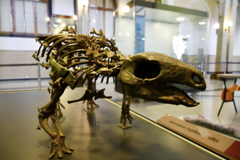 Dinosaurios en el Museo Nacional de Historia Natural