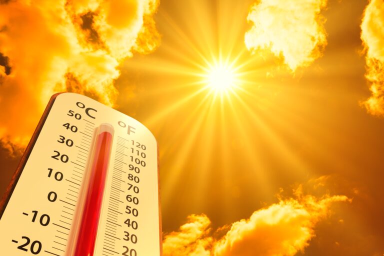 Evita los golpes de calor
