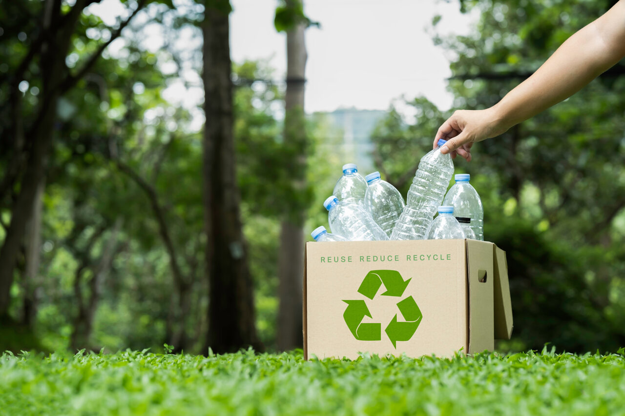 Cultura ambiental: Plásticos de un solo uso