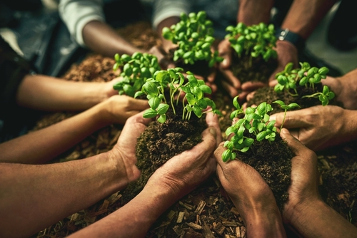Cultura ambiental: Huella de carbono personal